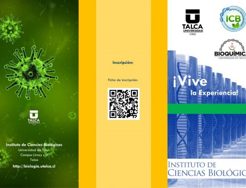 Curso: “Vive la Experiencia”, Biología en el Verano